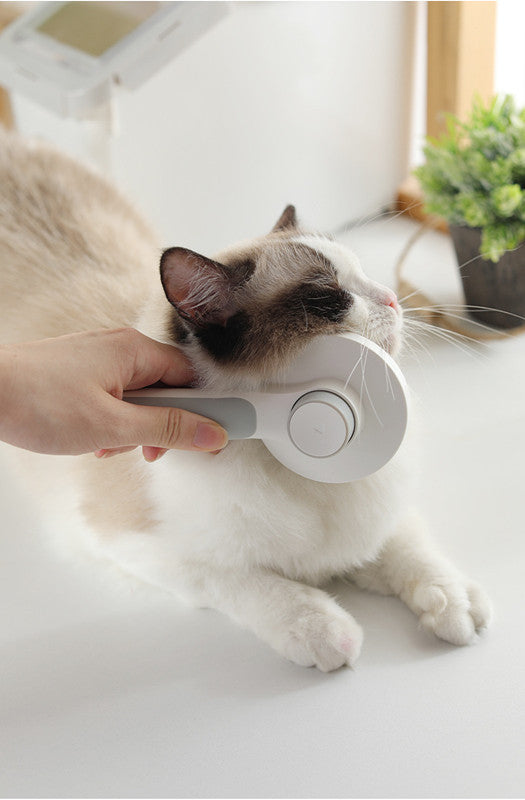 self Cleaning Cat & Dog Brush